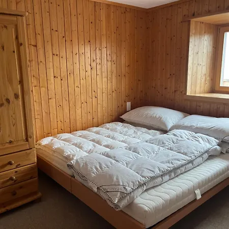 Grosses Haus Fuer Familienferien In Region Lenzerheide Appartement